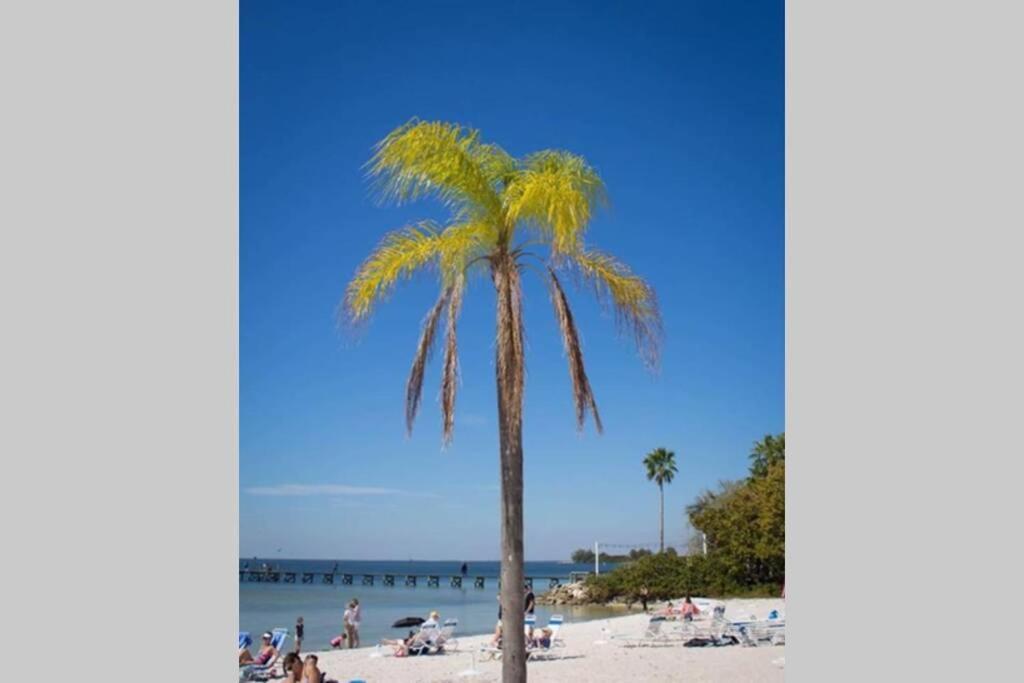 Sea Breeze, Studio 510, Beach Steps Away!+Pool+Wifi Ruskin Exteriör bild