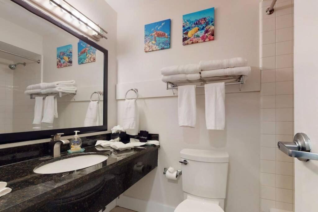 Sea Breeze, Studio 510, Beach Steps Away!+Pool+Wifi Ruskin Exteriör bild
