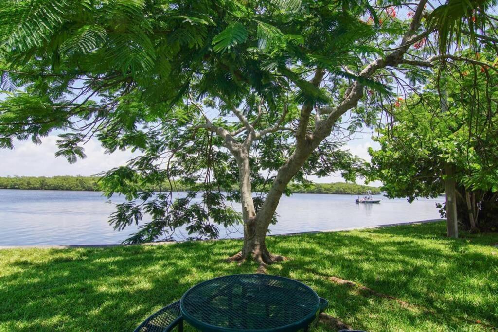 Sea Breeze, Studio 510, Beach Steps Away!+Pool+Wifi Ruskin Exteriör bild